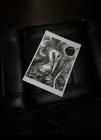Image 1 of BLACK MOON CRANE