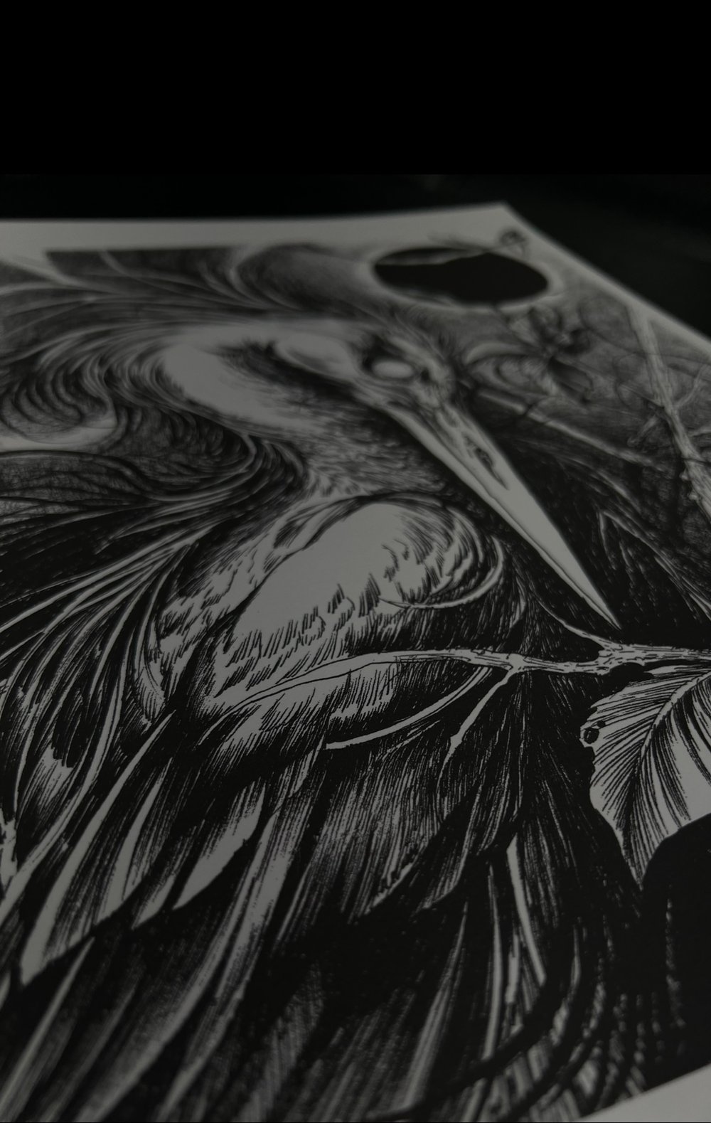 BLACK MOON CRANE