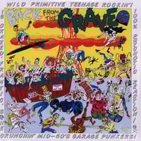V/A "Back From The Grave, Volume 5" LP