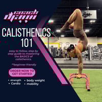 BEGINNERS GUIDE TO CALISTHENICS