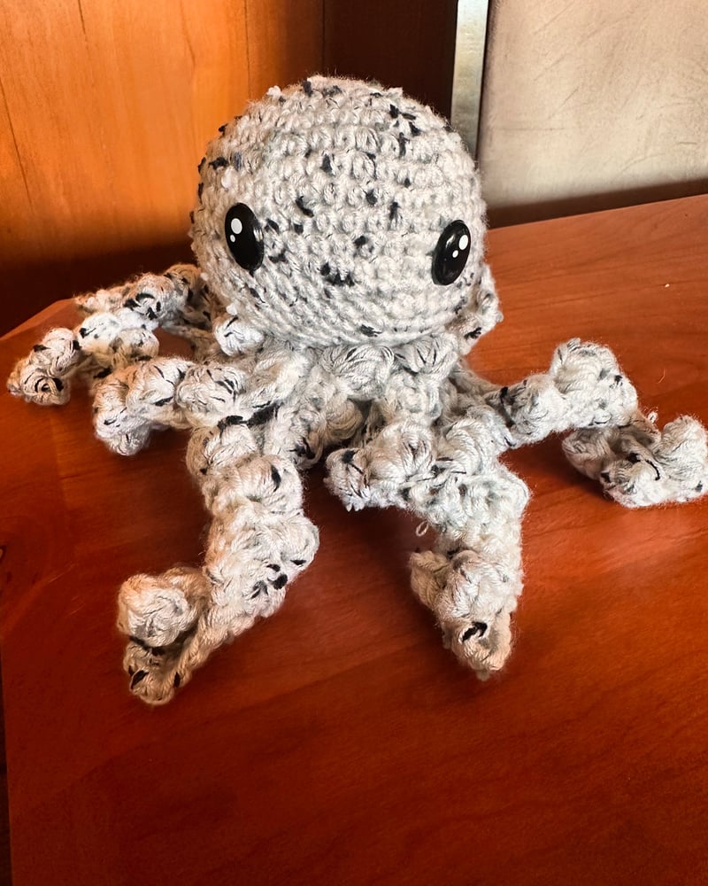 Image of Octopus