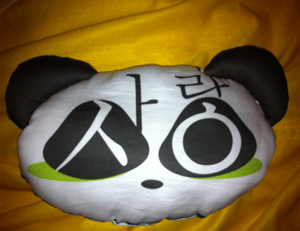 Image of Sarang Panda Pillow [s]