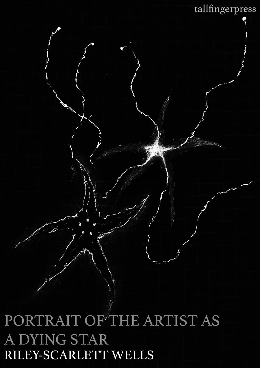 Image of Portrait Of The Artist As A Dying Star