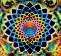 Image 3 of Blacked out rainbow wigwag combo