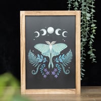 Luna Moth Wooden Art