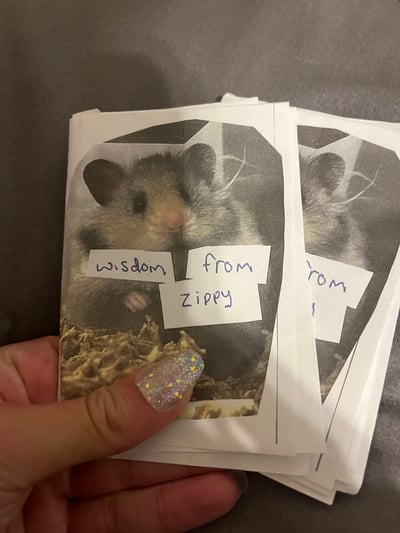 Image of wisdom from zippy mini zine