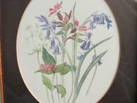 Image 4 of Vintage Watercolour Painting, Wildflowers by Moira Smith 1983, in Frame Sized 13 3/8 x 11 3/8 ins