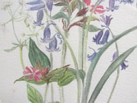 Image 6 of Vintage Watercolour Painting, Wildflowers by Moira Smith 1983, in Frame Sized 13 3/8 x 11 3/8 ins