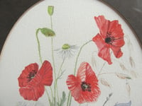 Image 5 of Vintage Watercolour Painting, Red Poppies & Flowers, Moira Smith '83, Frame Size 13 3/8 x 11 3/8 ins