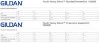 Image 4 of Youth Arcadia Phillies Hoodie(Unisex) or Crewneck(Unisex)