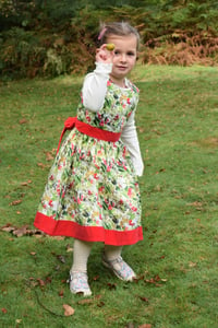 Image of The Party Dress - Autumn Berries