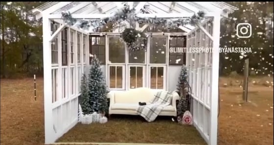 Image of Holiday Greenhouse Sessions