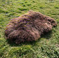 Image 2 of Harting Black Sheepskin #15