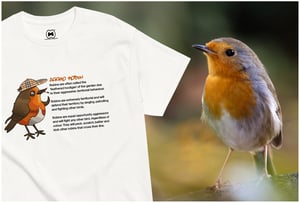 Image of AGGRO ROBIN.