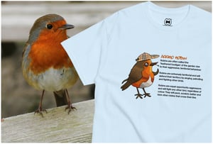 Image of AGGRO ROBIN.