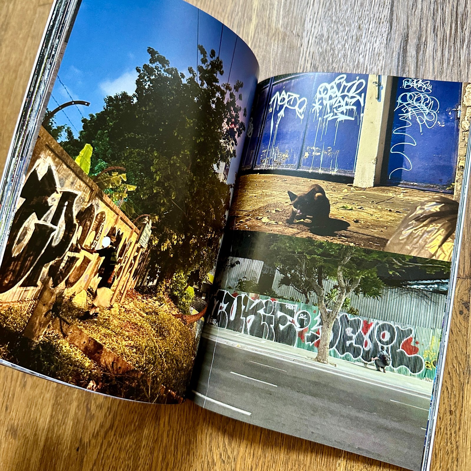 Still Nothing Special Vol. 2 by BEKOS T5F | Carnage NYC