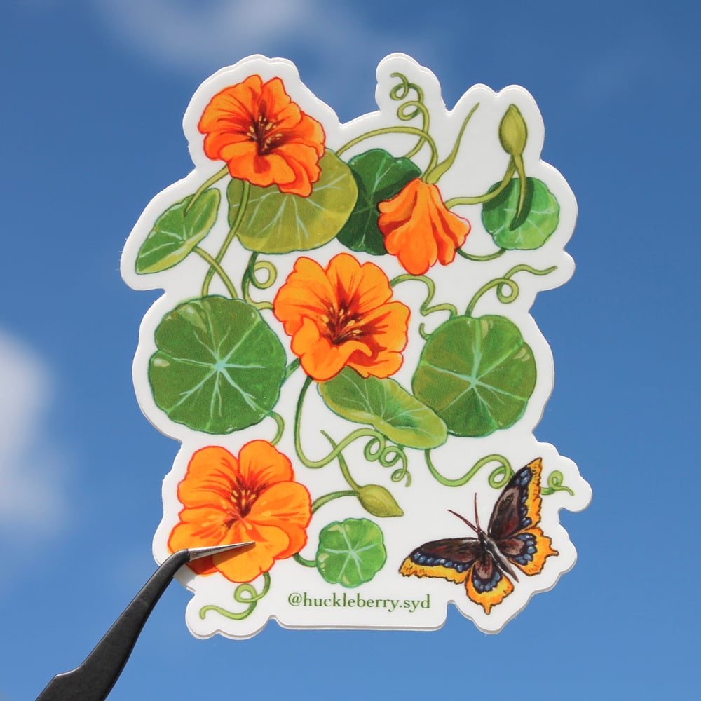 Image of Nasturtiums/ Mourning Cloak Sticker