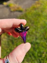 Image 1 of Electrum & royal jelly (glass) shark tooth pendant.