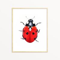 Image 1 of Ladybug Watercolor Illustration PRINT 