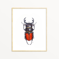 Image 1 of Odontolabis Beetle Watercolor Illustration PRINT 