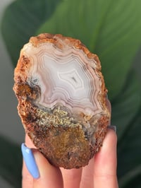 Image 2 of MOSSY PEACH LAGUNA AGATE