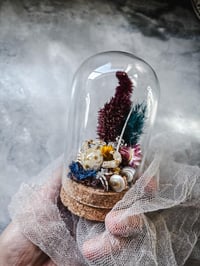 Image 5 of Tiny Crab in mini terrarium w/ sea urchin spine Curiosity Oddity Witch Altar Decor Sea Witch Tool...