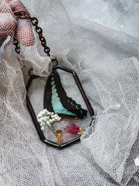 Image 4 of Framed Butterfly Moth, Cottage Core Decor Oddity Curiosity pressed flower frame Wiccan Altar Deco...