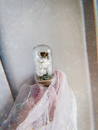 Image 1 of Honey Bee Display Dome Art, Curiosity Oddity Natural History Mini terrarium Apothecary Specimen A...