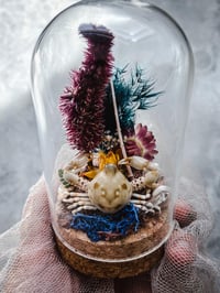 Image 9 of Tiny Crab in mini terrarium w/ sea urchin spine Curiosity Oddity Witch Altar Decor Sea Witch Tool...