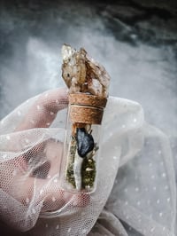 Image 1 of Rare Fossilized Blue Camel Tooth with Kundalini Citrine Cluster Curiosity Vial Witch Supplies Odd...