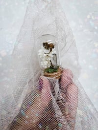 Image 5 of Honey Bee Display Dome Art, Curiosity Oddity Natural History Mini terrarium Apothecary Specimen A...