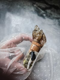 Image 5 of Rare Fossilized Blue Camel Tooth with Kundalini Citrine Cluster Curiosity Vial Witch Supplies Odd...