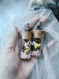 Image 2 of Japanese Murder Hornet in Vial Curiosity Oddity Natural History Mini Bee terrarium Apothecary Spe...