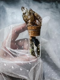 Image 9 of Rare Fossilized Blue Camel Tooth with Kundalini Citrine Cluster Curiosity Vial Witch Supplies Odd...