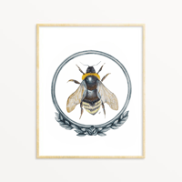 Image 1 of Framed Bee Watercolor Illustration PRINT 