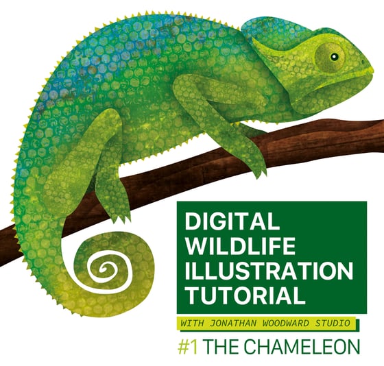 Image of Digital Wildlife Illustration Course: #1: The Chameleon