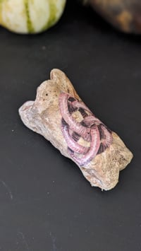 Image 2 of Witchworm Painted Bone
