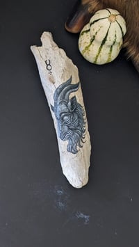 Image 3 of Goat Painted Bone