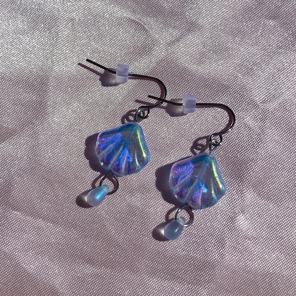 Image of sea shell earrings