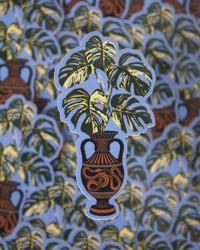 Image 3 of Monstera Plant