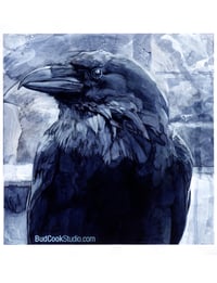 Image 1 of Raven in profile