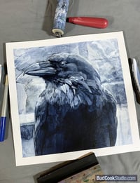 Image 2 of Raven in profile