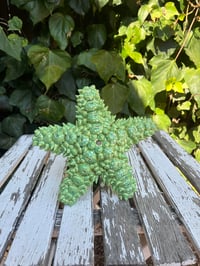 Green with White Dots