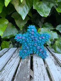 Teal with Purple