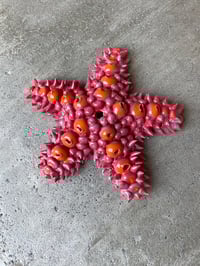 Red Turquoise and Orange 