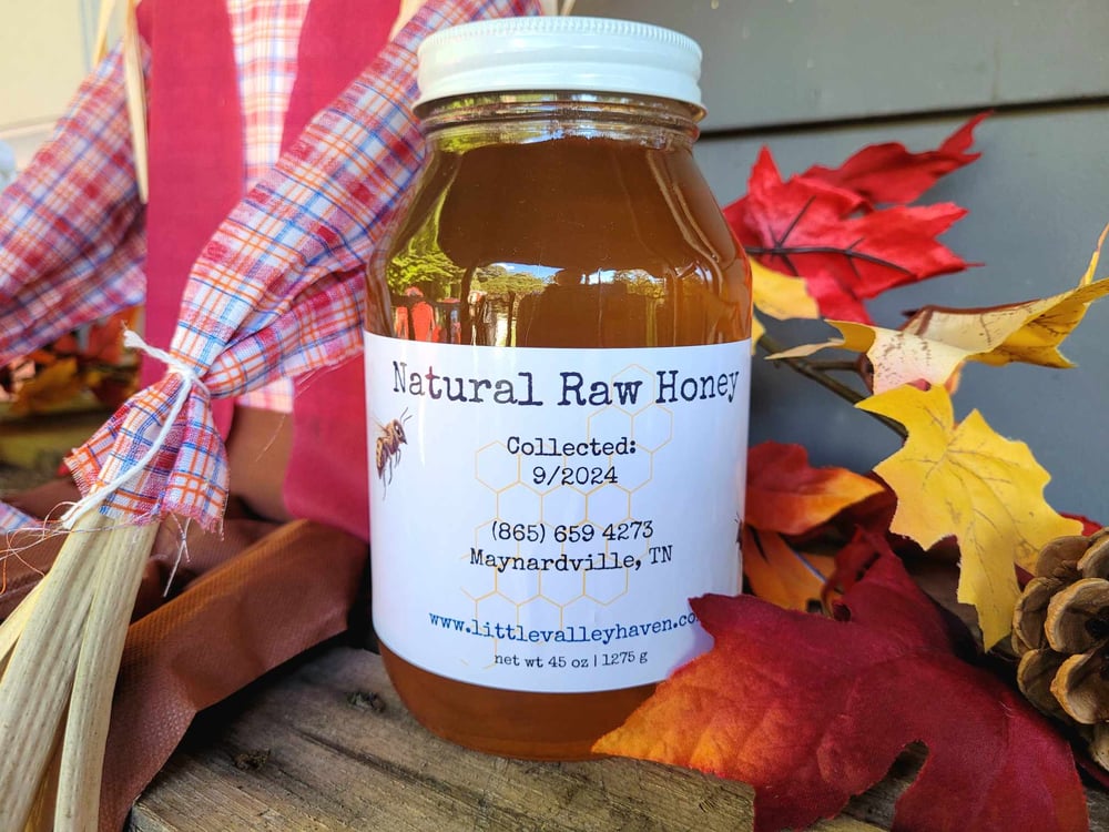 Image of Natural Raw Honey