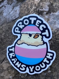 Image 3 of protect trans youth