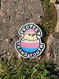 Image 4 of protect trans youth