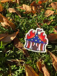 Image 4 of burning circus