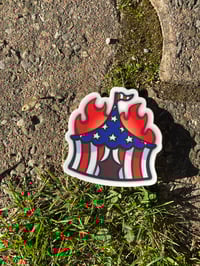 Image 3 of burning circus